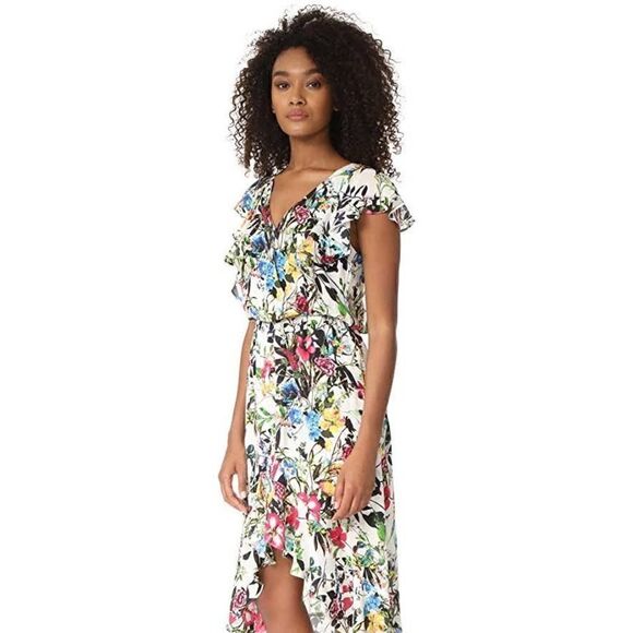 Parker 100% Silk Floral Constance Flutter- Blouson Dress Women Size S - Picture 4 of 16